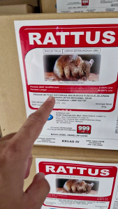 Rattus Racun TIkus 50g/100g/250g/500g/1kg Hextar Brodifacoum rat mouse bait