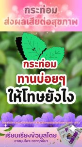 ชารางจืด ชาสมุนไพร ช่วยเลิกท่อม เลิกท่อม ตัวช่วยเลิกท่อม เลิกน้ำท่อม เลิกกระท่อม เลิกน้ำต้ม ช่วยเลิกน้ำต้ม เลิกท่อม ชาเลิกน้ำต้ม