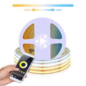 Bộ Đèn LED Dải Băng Không Dây Bluetooth 24V CCT COB 2700K-6500K Có Thể Điều Chỉnh Độ Sáng Màu Trắng Thông Minh Dành Cho Phòng Ngủ Nhà Bếp