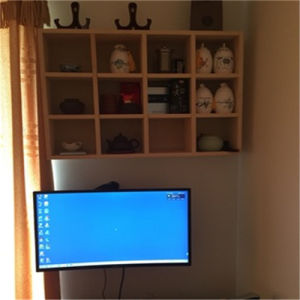Wall-Mounted Display Shelving Unit