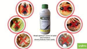 Syngenta Actellic® 50 EC Insecticide Pirimiphos-Methyl Pesticide for Stored Product Pests (Beetle Mites Moths Weevil)
