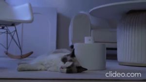 Maoxga เซรามิคน้ำพุน้ำแมวไร้สายไม่ต้องใช้พลังงานสมาร์ทน้ำพุสำหรับแมวและสุนัขไร้สายน้ำพุแมวพร้อมตัวกรอง   136