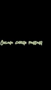 Celana Cargo Panjang Pria / Celana Panjang Cargo