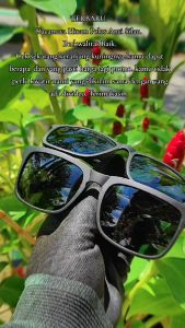 Kacamata Hitam Fashion Pria 2025 Sunglasses - Eyewear