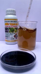 Phân bón SIÊU TẠO NỤ - TẠO NỤ DƯỠNG NỤ RA HOA ĐỒNG LOẠT