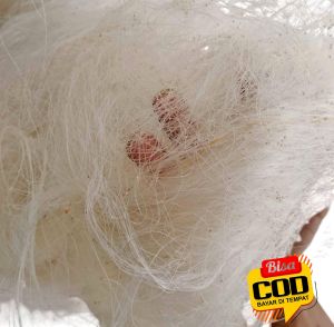 JARING BEKAS NELAYAN media filter kolam 1 kg