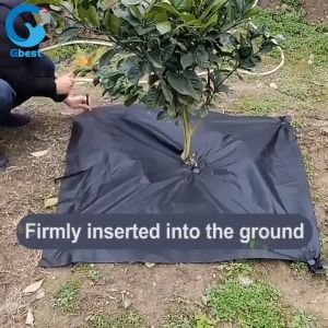 100PCS Paku Weedmat 11/16cm Black Plastic Weedmat Nail Paku Weedmat Penutup Tanah Fertigasi 防草布地钉