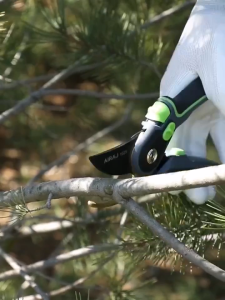 Gunting Berkebun / Gunting Pemotong / Tanaman Pemotong / Gunting Tanaman