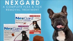 Nexgard Spectra Anti Tick Flea Mange and Deworming Chewables for Dogs