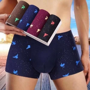 4pieces Pack of Breathable Mens Underwear Mens Underwear Youth Breathable Trend Fashion Mens Student Shorts