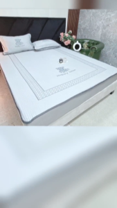 🌏HÀNG XỊN🌏 Chiếu Băng Lạnh Ice Cool Nhập Khẩu Cao Cấp Loại I Bộ 3 Món Tặng Kèm 2 Vỏ Gối _ Ảnh Chụp Thật