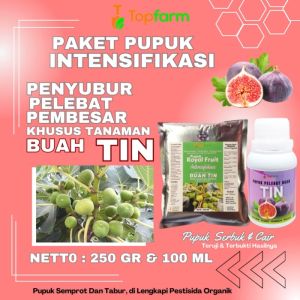 Pupuk Pemanis Buah Tin / Pupuk Buat Tanaman Buah Tin / Pupuk Cair Untuk Buah Tin / Pupuk Pelebat Tanaman Buah Tin / Pupuk Tin Terbagus