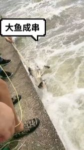 Alat memancing garisan tayar penuh jaring penyebaran tangan tenunan tangan jaring berputar dua jari jaring membaling tangan lama jaring memancing tradisional jaring puting jaring drop plumbum