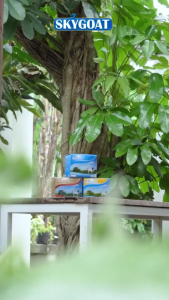 Skygoat Susu Kambing Etawa Bubuk Propolis Coklat Susu Bubuk Original