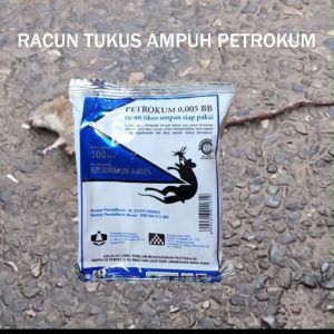 [PAKET 50 Pak] PETROKUM Racun Obat Tikus Pembasmi Ravun Umpan Basmi Super Ampuh Hama Cecurut Sawah Got Rumah Mati Kering Tidak Berbau Pertokum Asli Original Langsung Mati Ditempat Murah Grosir