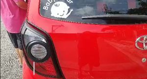 Toyota Wigo 2014-2016 Garnish Cover Combo Set: Free TRD Door Guard & More