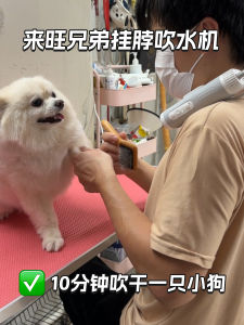 Neck Hanging Dog Bath Blow Dryer Cat Hair Drying Machine Stand Pet Grooming Tool with round Nozzle Universal Pet Care