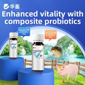 HUAXU | Fermentation EM Bacteria