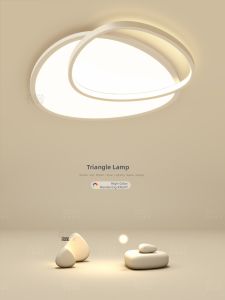 Luxury Warm Ceiling Light