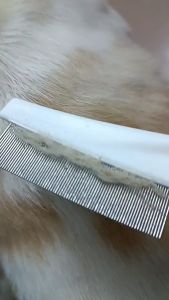 Pet Hair Flea Comb Stainless Steel Needle Comb Sikat Kutu Kucing Flea Comb Remover Sisir g Murah Grooming Tools 宠物猫狗跳蚤梳子