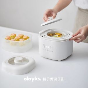 Olayks electric stew pot baby food supplement pot birds nest porridge small stew pot water-proof stew pot household