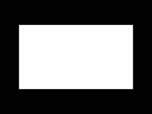 Stainless Steel Burger Press14cm Ham Patty Press for Flat Top Griddle Grill Cooking