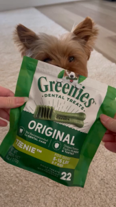Bánh Thưởng Cho Cún 2-7kg Greenies Teenie Dental Dog Treats Combo 5c