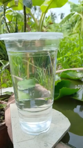 Combo 200 ly kèm nắp ly nhựa PP VTP 2 tầng 900ml kèm nắp bằng trong 105 nhận in ly theo yêu cầu