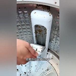 🔥BUY 1 FREE 1 🔥 TEXLABS Washing Machine Cleaning Powder🔥US TECH