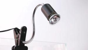 โคมไฟให้ความร้อนสัตว์ ขั้วหลอดไฟเซรามิค หลอดไฟให้ความร้อนสัตว์ ไฟกกนก ไฟกกเต่า สัตว์เลื้อยคลาน ไฟกกไก่ หลอดไฟ