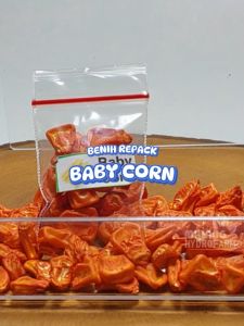 Benih Baby Corn Unggulan berkualitas jagung bayi biji bibit hydroponik hidroponik sayuran tanaman sayur