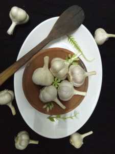 Bawang Kating kualitas super