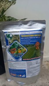 TRICHODERMA CAO CẤP 1KG/ MEN CHUYÊN PHUN XỊT TAN HOÀN TOÀN 100%/ CHỐNG TUYỄN TRÙNG RỄ CẢI TẠO ĐẤT