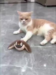 Interactive Cat Toys Rechargeable Electric Chirping Flapping Wings Bird with Catnip Cats Touch-Activated Squeaky Plush Toy Pet