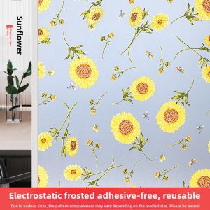 TAISEN | Privacy Anti-Peep Frosted Window Sticker