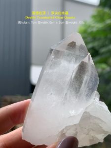 🔮双尖白水晶 Double Terminated Clear Quartz #clearquartz #双尖晶 #能量放大 #白水晶王 ✨特点 Features • 双尖结构意指两端皆自然形成尖点,能量双向流通,既能吸收也能释放。 The double-terminated form means both ends naturally come to points allowing energy to flow in and out freely. • 晶体通透亮洁,象征平衡、沟通与能量循环。 C
