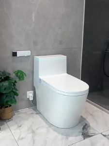 Intelligent Power-Off Flushable Pressure-Independent Toilet