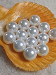 Deep Sea Semi-drilled Shell Pearl Colored Beads Accessory