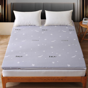 Six-Sided Zippered Bedding Protector Dustproof Non-Slip Mattress Cover Removable Washable Bed Canopy Universal Comforter