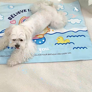 Petus ที่นอนเจลเย็น แผ่นเย็นหมา แผ่นเจลเย็นสุนัข ที่นอนเย็น Pet Cool Mat เบาะนุ่ม หนาทนทาน ทนต่อแรงขีดข่วน คลายร้อน คลายเครียด ไม่ต้องแช่เย็น