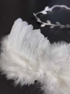 Bộ Cánh Thiên Thần Sơ Sinh Kèm Vương Miện Cánh Lông Vũ Trắng Với Băng Đô Hình Lá Đạo Cụ Chụp Ảnh Thoải Mái Cho Bé.
