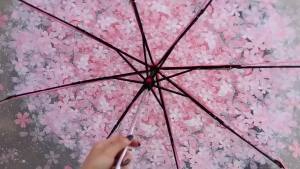 Transparent Cherry Blossom Pattern Folding Umbrella 8 Ribs Casual Lightweight Portable Rain Gears For Outdoor Activities