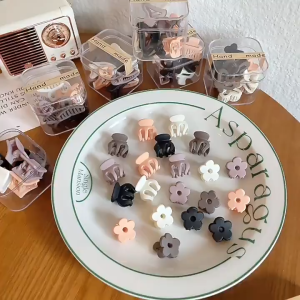 Fyngalery ♛ Set Jepit Rambut Kecil Isi 10 Free Toples Jedai Rambut Doff Mini DP409