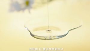 Japan original import laundry detergent stains removers for clothes detergent liquid laundry 99% antibacterial detergent for women 贴身衣物洗涤液 300ML