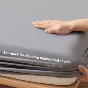 Full Enclosure Bed Canopy Three-Piece Set Skin-Friendly Mattress Protector Slip-Resistant Bed Sheet Dormitory Four Seasons