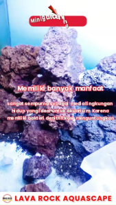ZAK 10KG BATU LAVAROCK AQUASCAPE LAVA ROCK merah AQUARIUM