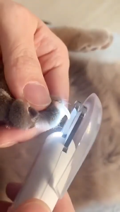 Pet nail clippers with LED lights to prevent cats and dogs from getting injured and bleeding