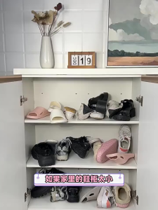 Double-layer Adjustable Shoe Rack Shoe Slots Organizer for Save Space