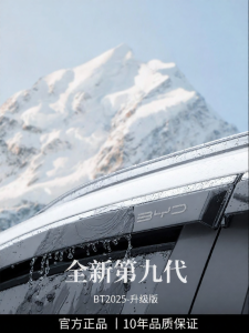 HANNENGDA | BYD Seagull DMI Rain Visors