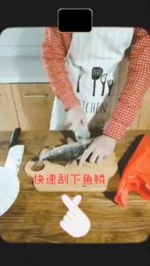 Fish Scale Scraper Fish Skin Remover Peeler Graters Cleaner Seafood Kitchen Gadgets /Alat Pengisik Ikan